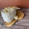 baleine.a.bulles.1 baleine.a.bulles.1