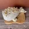 baleine.a.bulles.2 baleine.a.bulles.2