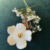 broche fleur blc 2 Broche Flora