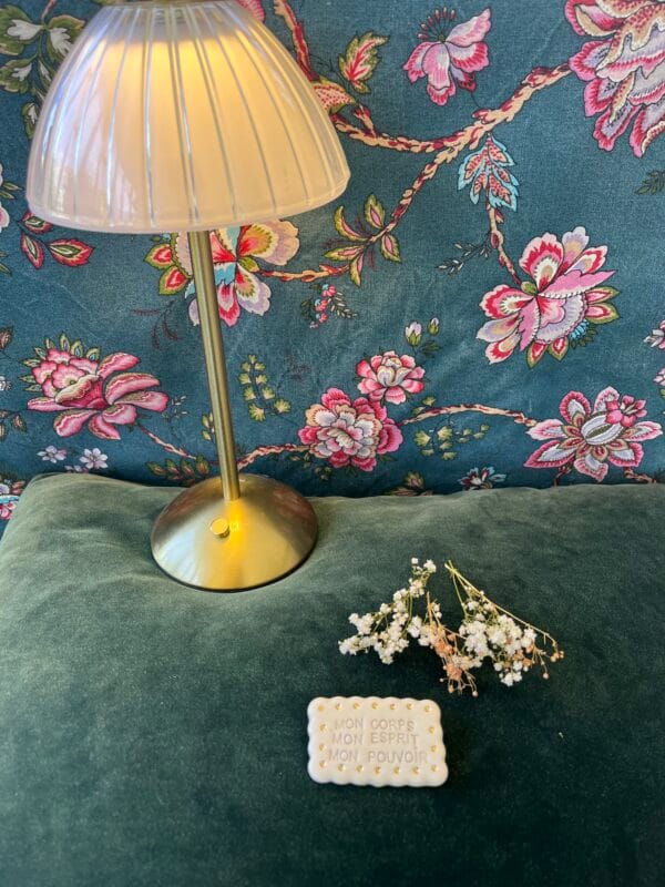 broche.biscuit.3