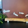 buche.poisson.1