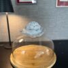 cloche.alexandra.2