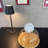 cloche.zahara.1