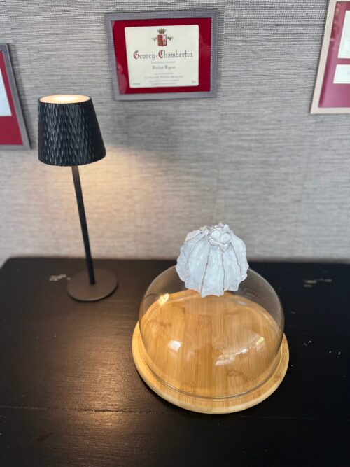 cloche.zahara.1
