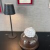 cloche.seraphine.3