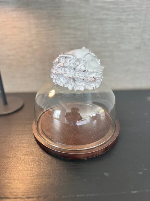 cloche.seraphine.1