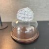 cloche.seraphine.1