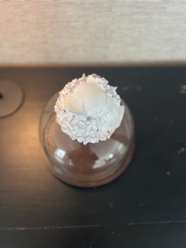 cloche.seraphine.2