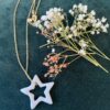collier.etoile.creuse.3