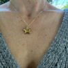 collier.etoile.doree.2