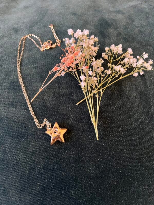 collier.etoile.doree.3
