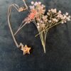 collier.etoile.doree.3