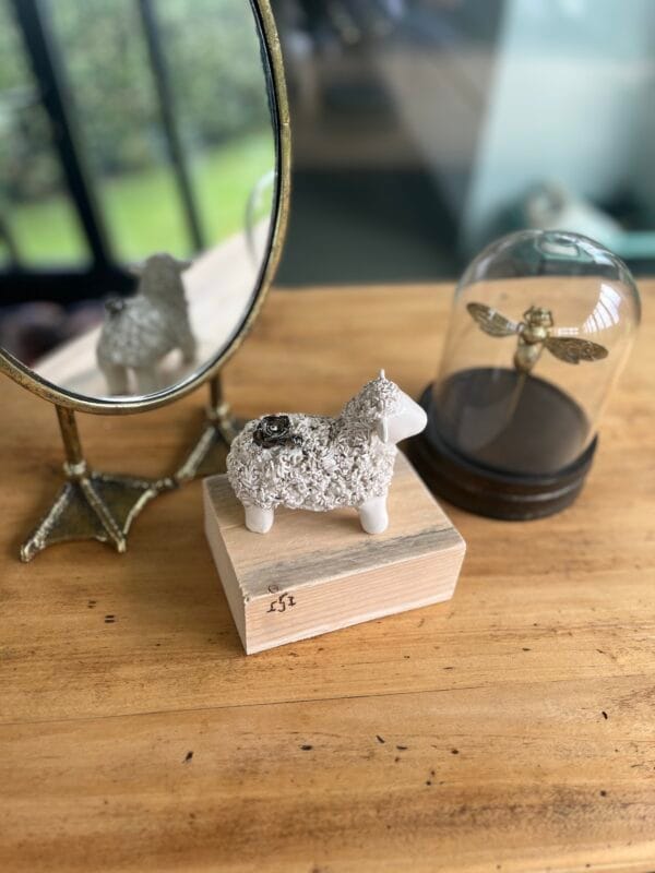 mouton.shaun.1