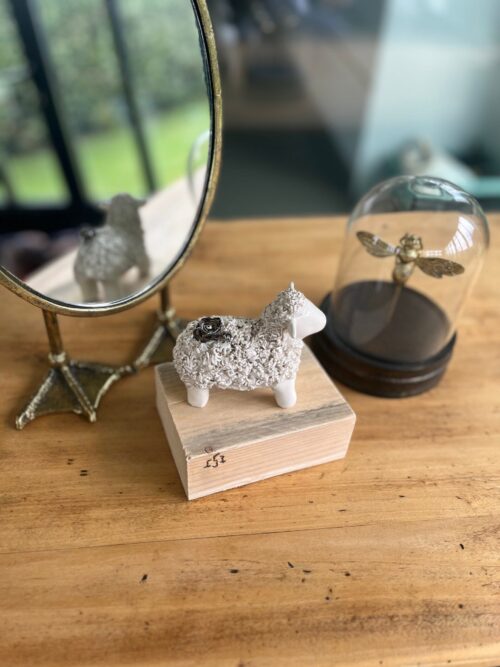 mouton.shaun.1