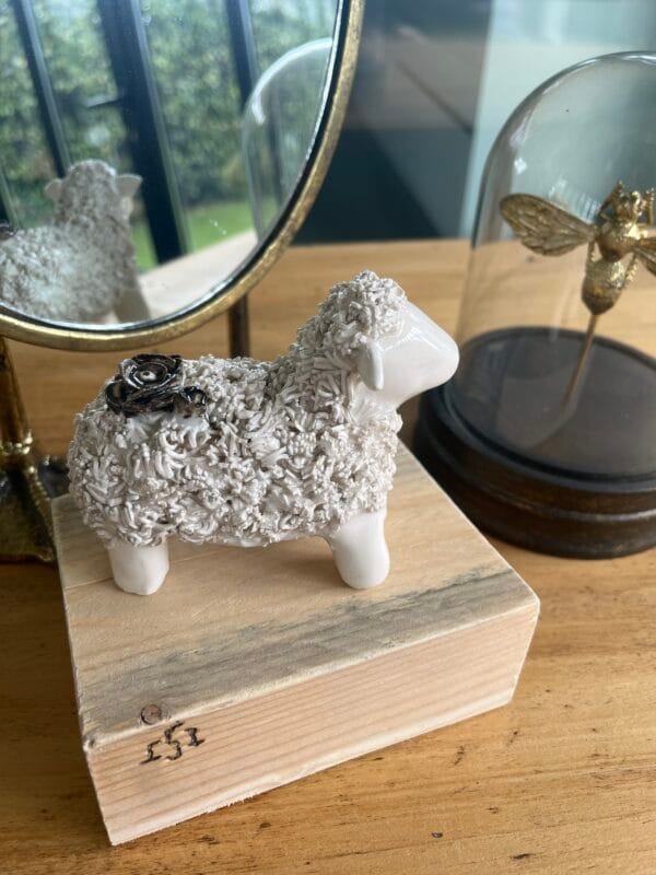 mouton.shaun.2