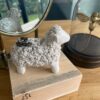 mouton.shaun.2