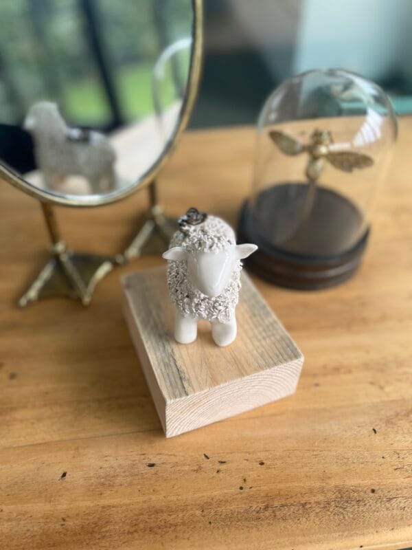 mouton.shaun.3