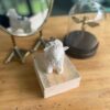 mouton.shaun.3