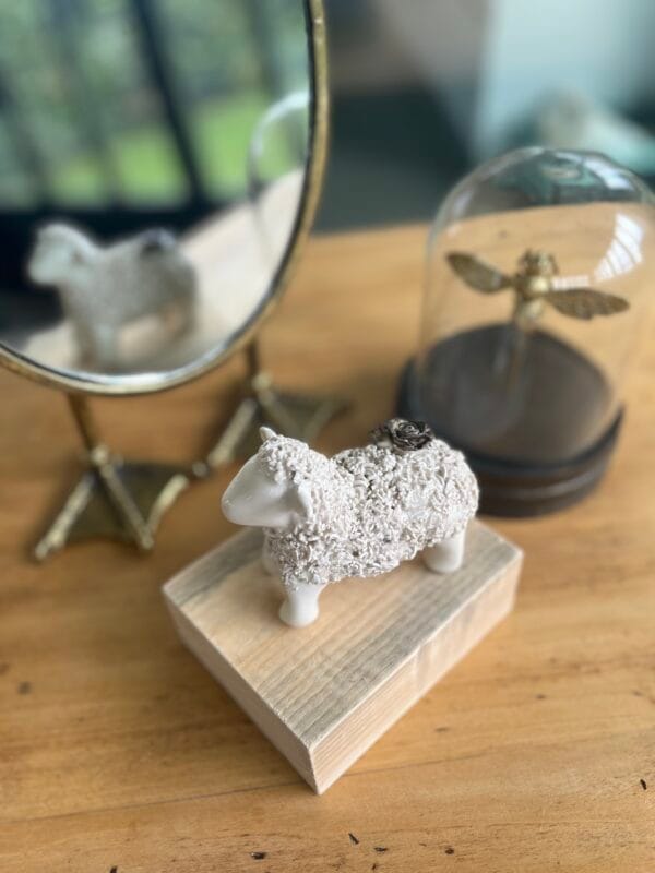 mouton.shaun.4