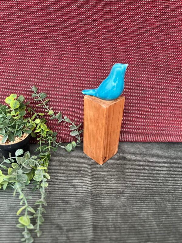 oiseau.bleu.1 oiseau.titi.1