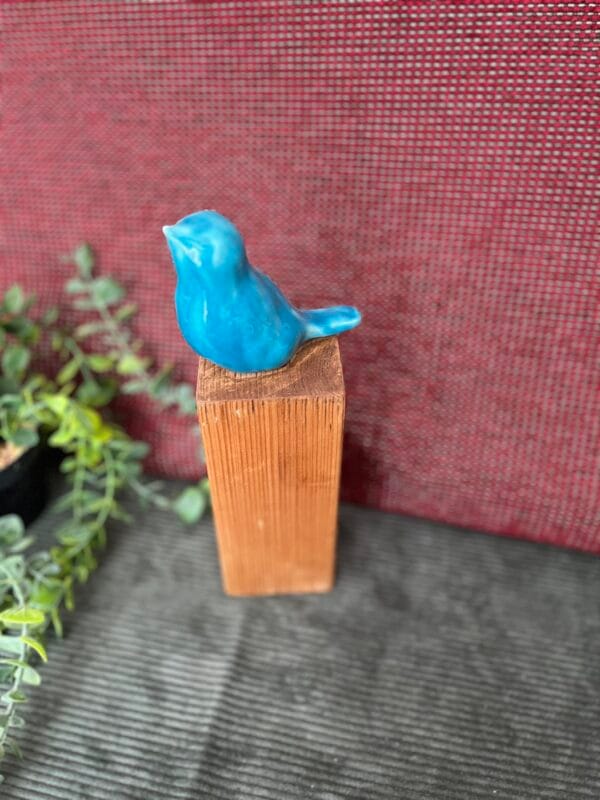 oiseau.bleu.2 oiseau.titi.2