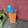 oiseau.bleu.2 oiseau.titi.2