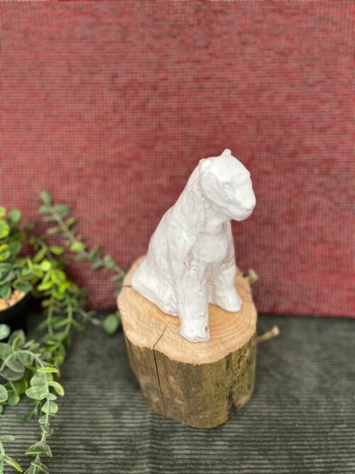 ours.knut.1