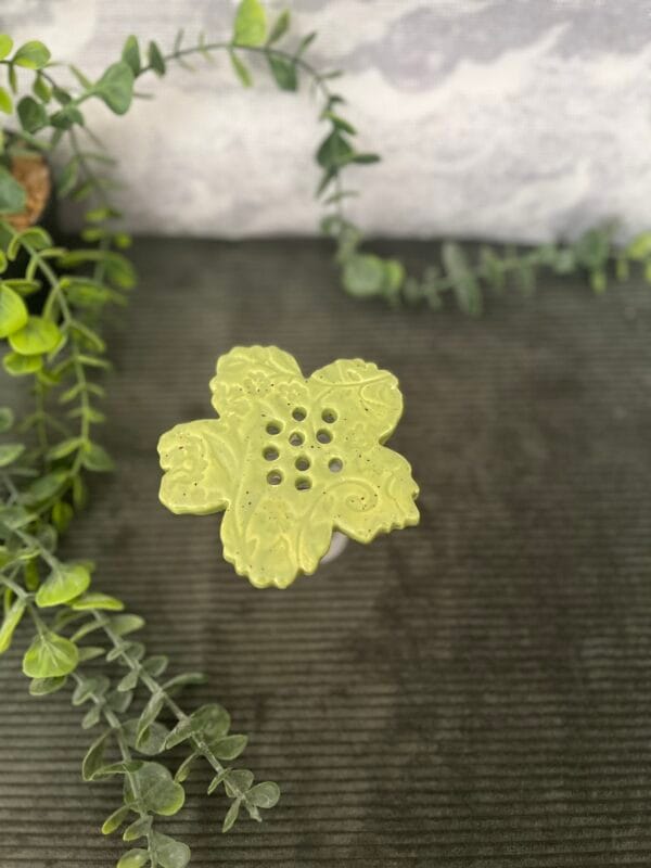 pic.fleurs.jade.3
