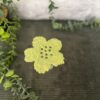pic.fleurs.jade.3