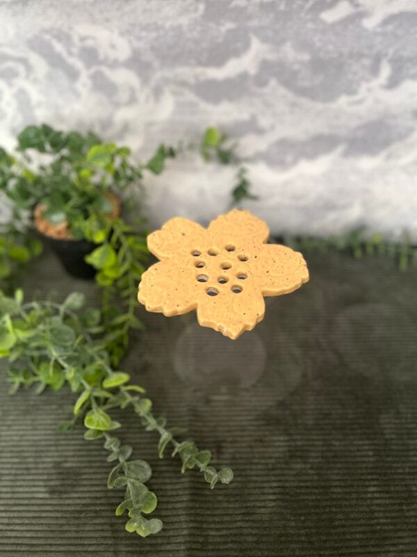 pic.fleurs.javotte.3