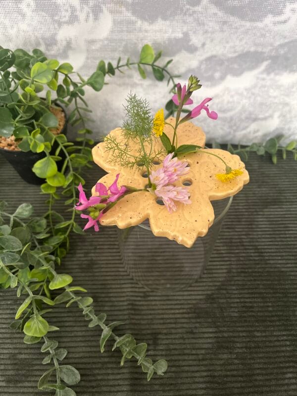 pic.fleurs.javotte.1