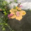 pic.fleurs.javotte.1