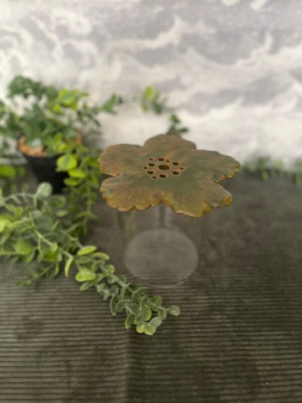 pic.fleurs.rosette.3