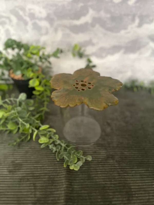 pic.fleurs.rosette.3