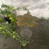 pic.fleurs.rosette.3