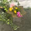 pic.fleurs.rosette.1