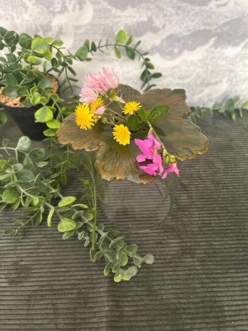 pic.fleurs.rosette.1