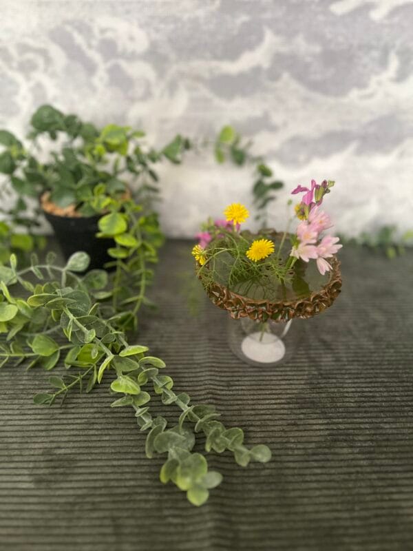 pic.fleurs.flora.1