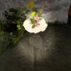 pic.fleurs.pascaline.3