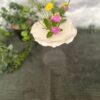 pic.fleurs.pascaline.1