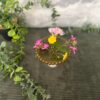 pic.fleurs.perle.1