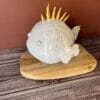 poisson.pic.1 Poisson Picoti