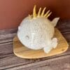 poisson.pic.2 Poisson Picoti
