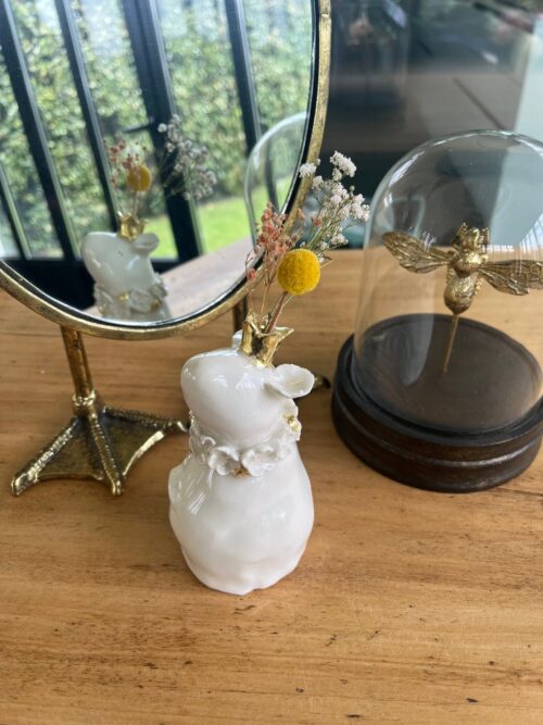 souris.alba.1