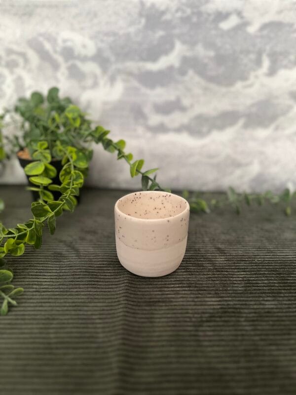 tasse.chiara.3