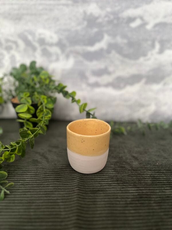 tasse.chiara.1