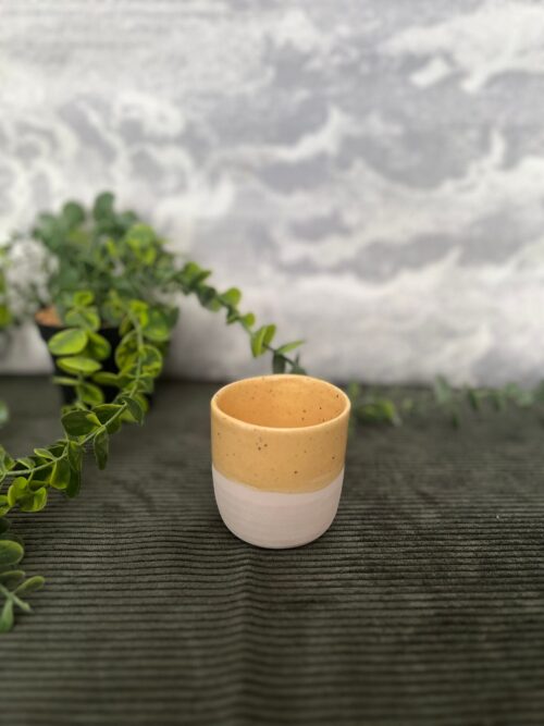 tasse.chiara.1