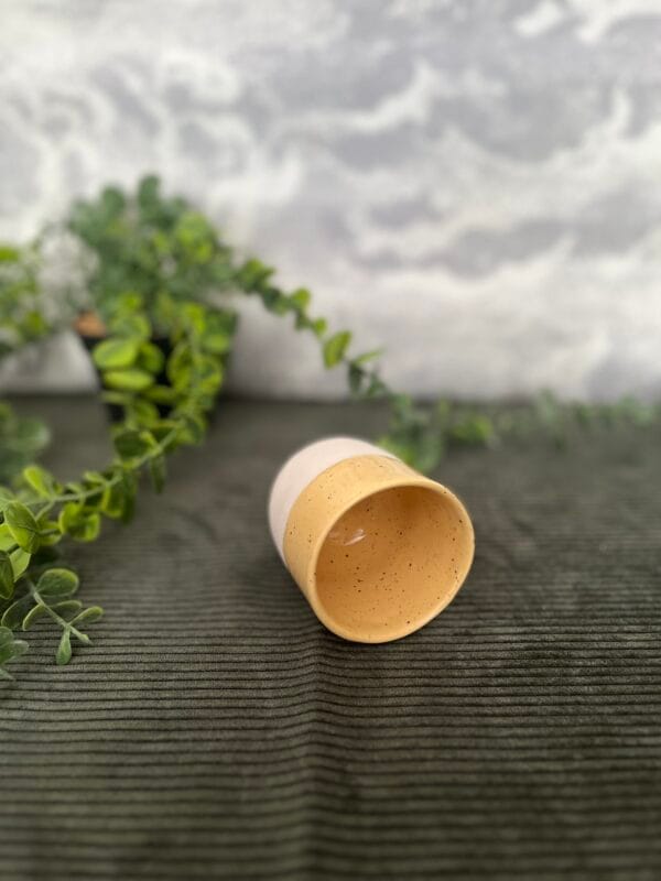 tasse.chiara.2