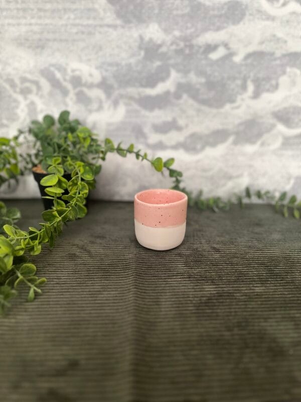 tasse.chiara.5