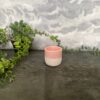 tasse.chiara.5